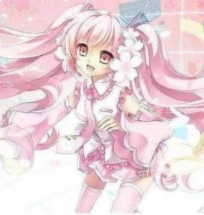 乐流量C版APP安装下载最新版2024