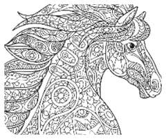 乐鲸特卖安卓版更新版本2024