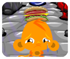 麦地网安卓版正版下载不用实名认证