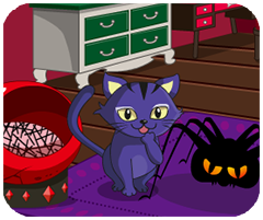 黑龙江装饰装修网APP2024无广告版下载