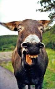 瞧瞧APP安装最新版2024