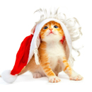 吾舍APP游戏正版