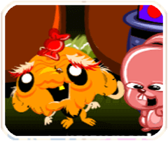 哈尔滨市民通安卓版2024版 