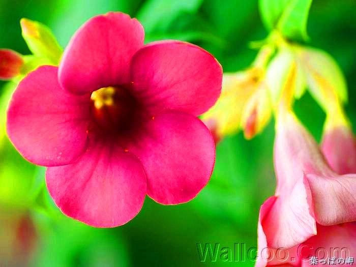 交发建APP2024最新下载无广告版本