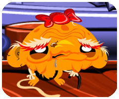 煤炭快车安卓版2024新版免费下载