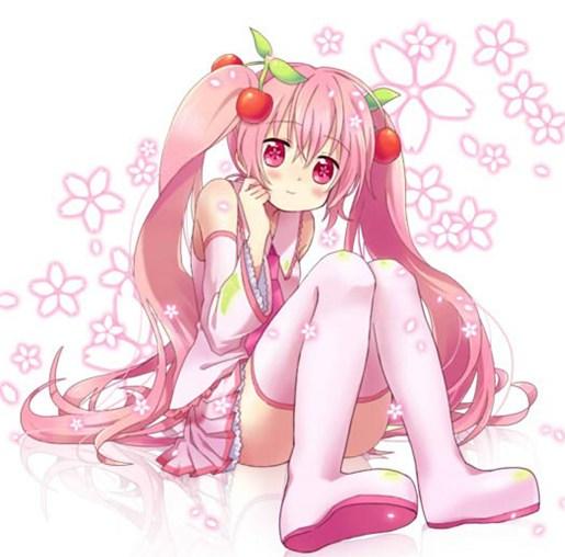 塑料制品网安卓版安装正版游戏2024