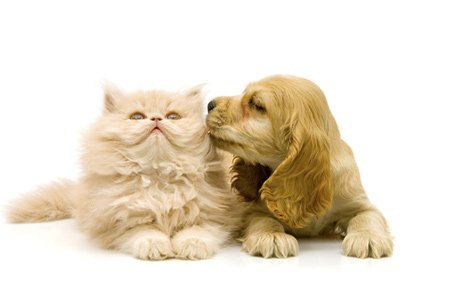 7车主值得买APP2024最新版本下载无广告