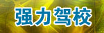 强力驾校