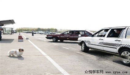 上海奉贤区莘铭驾校简介_介绍莘铭驾校历史和