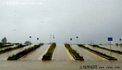龙树驾校