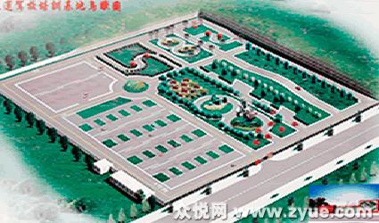 长运驾校