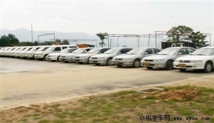 武义驾校