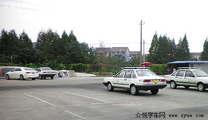 新博驾校