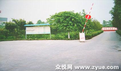 迅达驾校