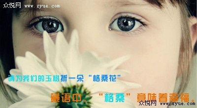 请给我们的玉树一朵“格桑花”