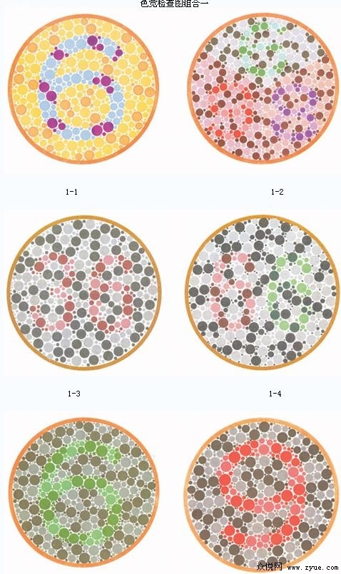 郑州学车色盲测试图