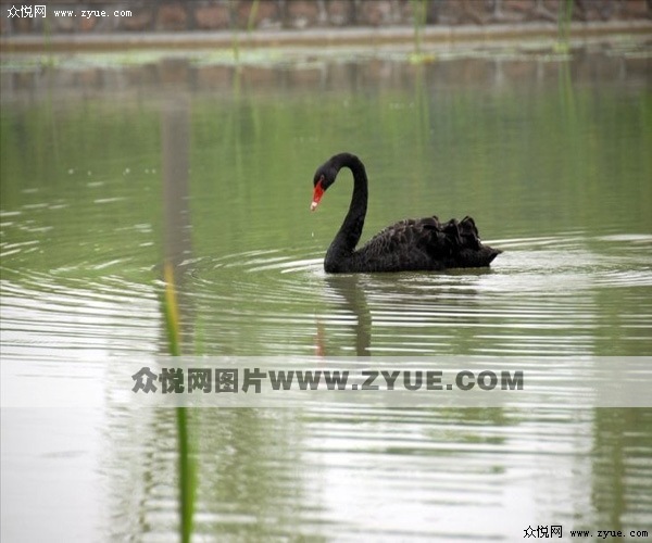 海淀驾校风光