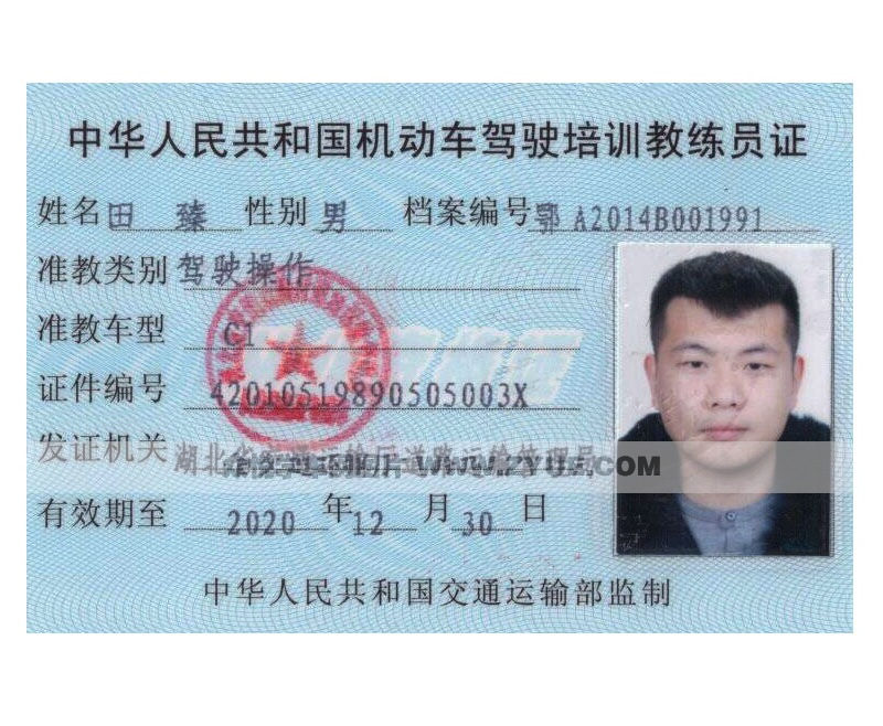 > 田教练团队田教练教练证
