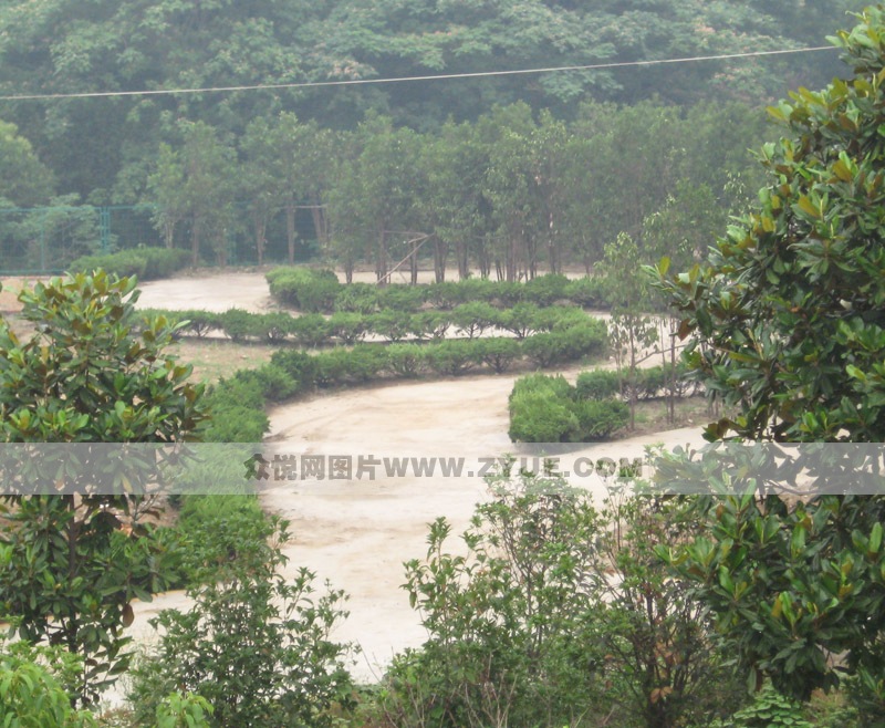 鸿艺驾校曲线行驶场地