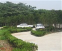鸿艺驾校S路教学场地